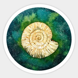 Ammonite Galaxy Sticker